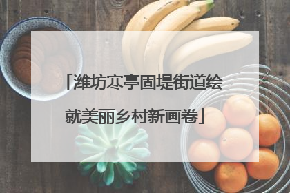 潍坊寒亭固堤街道绘就美丽乡村新画卷