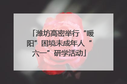 潍坊高密举行“暖阳”困境未成年人“六一”研学活动