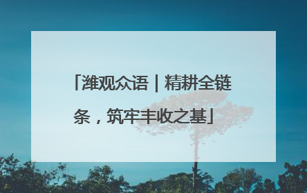 潍观众语｜精耕全链条，筑牢丰收之基