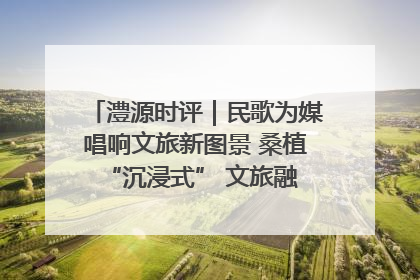 澧源时评｜民歌为媒唱响文旅新图景 桑植 “沉浸式” 文旅融合的破圈启示