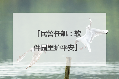 民警任凯：软件园里护平安