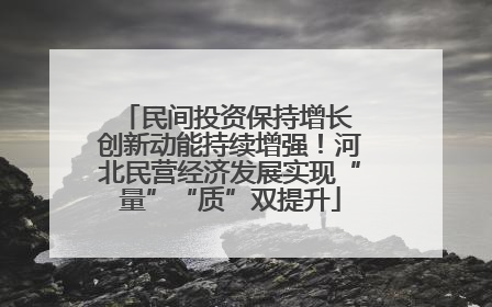 民间投资保持增长 创新动能持续增强！河北民营经济发展实现“量”“质”双提升