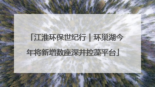 江淮环保世纪行｜环巢湖今年将新增数座深井控藻平台