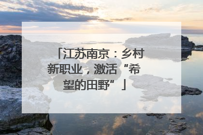 江苏南京：乡村新职业，激活“希望的田野”
