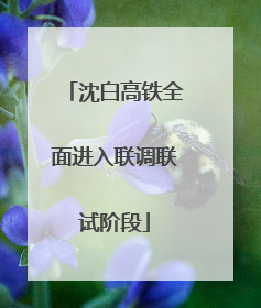 沈白高铁全面进入联调联试阶段