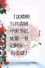 沈晓明与共青团中央书记处第一书记阿东一行会谈