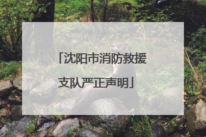 沈阳市消防救援支队严正声明