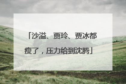 沙溢、贾玲、贾冰都瘦了，压力给到沈腾
