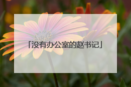 没有办公室的赵书记