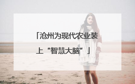 沧州为现代农业装上“智慧大脑”