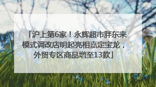 沪上第6家！永辉超市胖东来模式调改店明起亮相嘉定宝龙，外贸专区商品增至13款