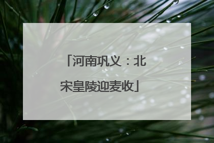 河南巩义：北宋皇陵迎麦收