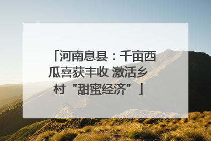 河南息县：千亩西瓜喜获丰收 激活乡村“甜蜜经济”