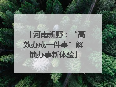 河南新野：“高效办成一件事”解锁办事新体验