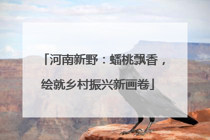 河南新野：蟠桃飘香，绘就乡村振兴新画卷