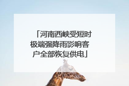 河南西峡受短时极端强降雨影响客户全部恢复供电