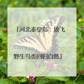 河北秦皇岛：放飞野生鸟类回归自然