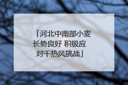 河北中南部小麦长势良好 积极应对干热风挑战