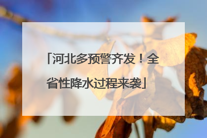 河北多预警齐发！全省性降水过程来袭