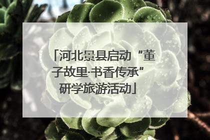 河北景县启动“董子故里·书香传承”研学旅游活动