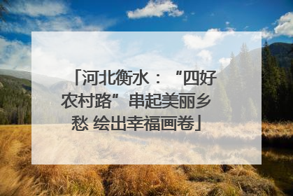 河北衡水：“四好农村路”串起美丽乡愁 绘出幸福画卷