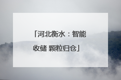 河北衡水：智能收储 颗粒归仓