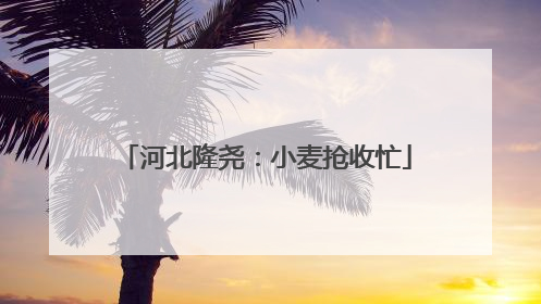 河北隆尧：小麦抢收忙