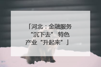 河北：金融服务“沉下去” 特色产业“升起来”