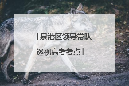 泉港区领导带队巡视高考考点