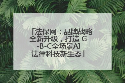 法保网：品牌战略全新升级，打造 G-B-C全场景AI法律科技新生态