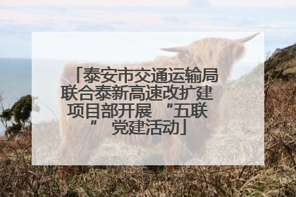 泰安市交通运输局联合泰新高速改扩建项目部开展 “五联” 党建活动