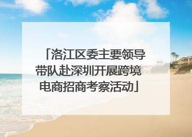 洛江区委主要领导带队赴深圳开展跨境电商招商考察活动