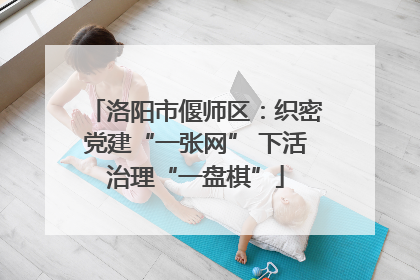 洛阳市偃师区：织密党建“一张网” 下活治理“一盘棋”