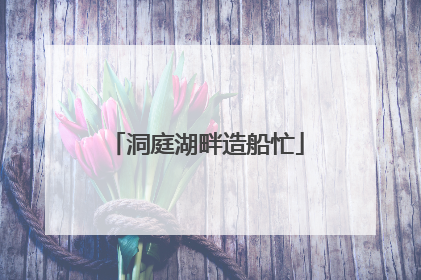 洞庭湖畔造船忙
