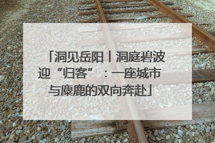 洞见岳阳丨洞庭碧波迎“归客”：一座城市与麋鹿的双向奔赴