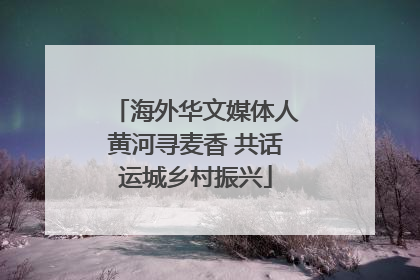 海外华文媒体人黄河寻麦香 共话运城乡村振兴