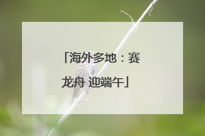 海外多地：赛龙舟 迎端午