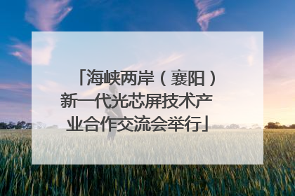 海峡两岸（襄阳）新一代光芯屏技术产业合作交流会举行