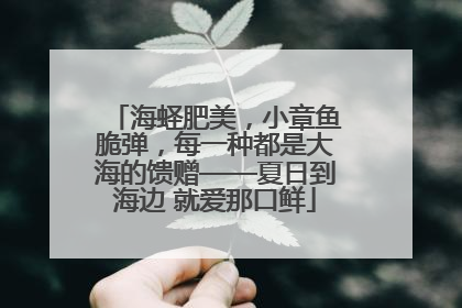 海蛏肥美，小章鱼脆弹，每一种都是大海的馈赠——夏日到海边 就爱那口鲜