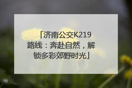 济南公交K219路线：奔赴自然，解锁多彩郊野时光