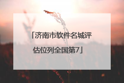 济南市软件名城评估位列全国第7