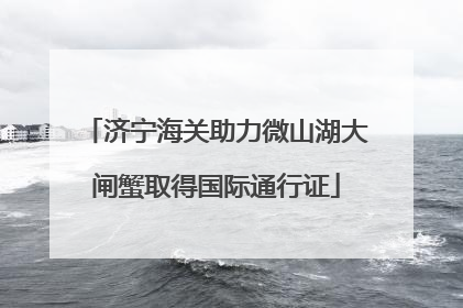 济宁海关助力微山湖大闸蟹取得国际通行证