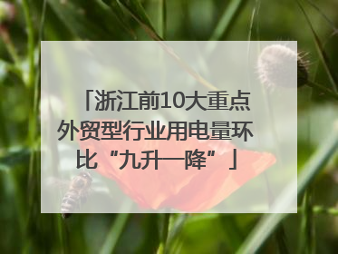 浙江前10大重点外贸型行业用电量环比“九升一降”