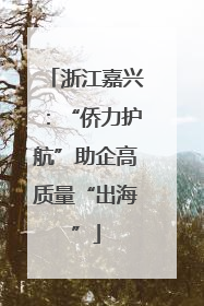 浙江嘉兴：“侨力护航”助企高质量“出海”