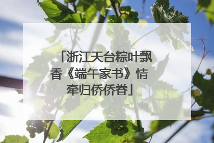 浙江天台粽叶飘香《端午家书》情牵归侨侨眷