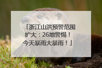 浙江山洪预警范围扩大：26地警惕！今天暴雨大暴雨！