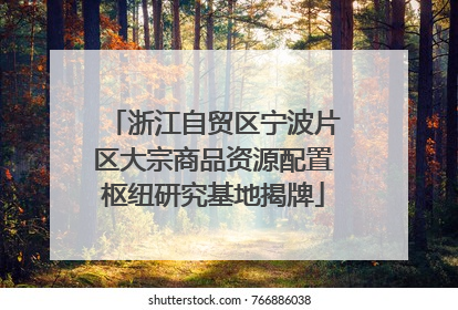浙江自贸区宁波片区大宗商品资源配置枢纽研究基地揭牌