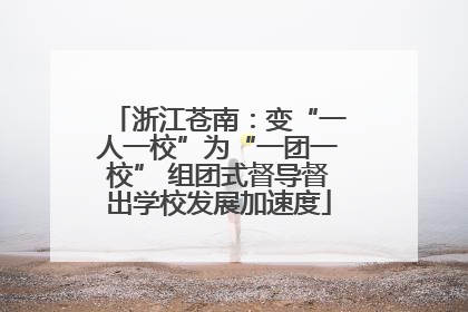 浙江苍南：变“一人一校”为“一团一校” 组团式督导督出学校发展加速度