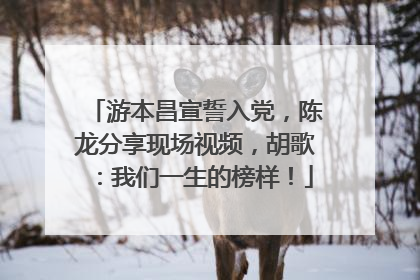 游本昌宣誓入党，陈龙分享现场视频，胡歌：我们一生的榜样！
