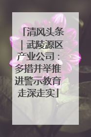 清风头条｜武陵源区产业公司：多措并举推进警示教育走深走实